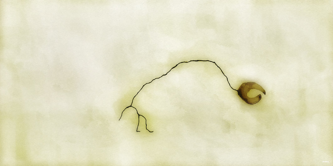 Technology and Social Connection