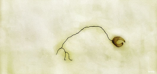 Technology and Social Connection